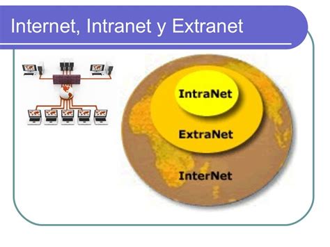 Internet Intranet Y Extranet