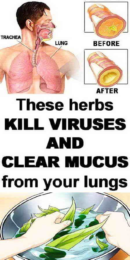 Heres How To Clear Mucus From Your Lungs Also Its A Good Solution If