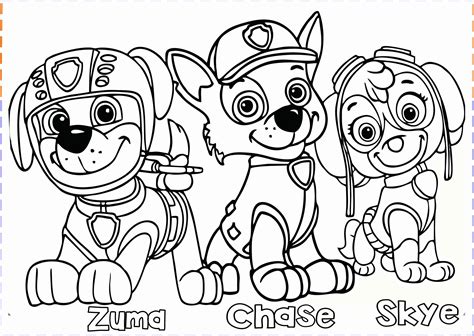 A And P Coloring Book Luxury Best Paw Patrol Coloring Page
