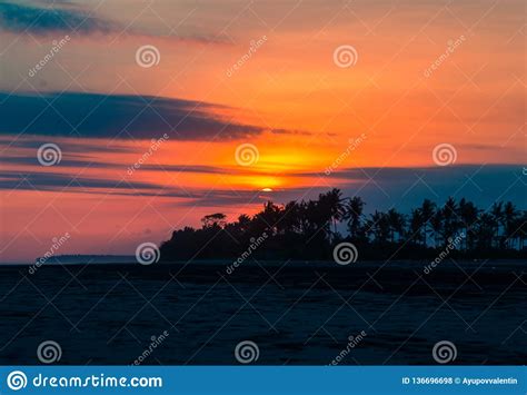 Tropical Coconut Palm Trees On The Beach During Sunset