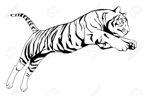 Tiger Jumping Clipart 20 Free Cliparts Download Images