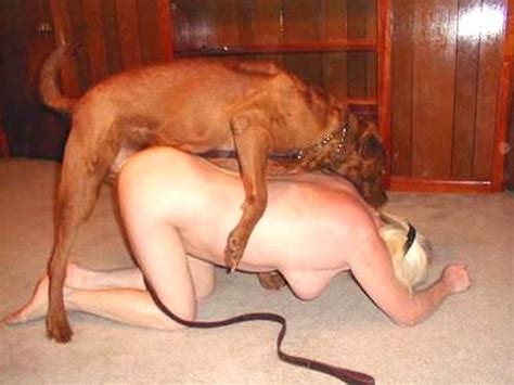 Animal Sex Stories Incest My Dog Fuck Mom Animal Sex Fun
