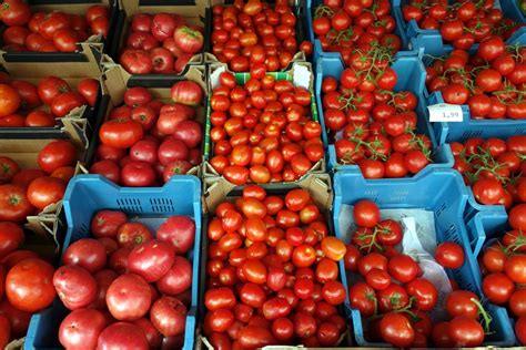 Tomaten Wochenmarkt Lizenzfreie Bilder Kostenloser Support Piqza De