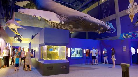 Virginia Aquarium And Marine Science Center Pictures View Photos