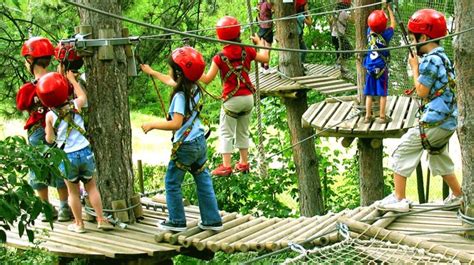 Treetop Quest Is A Self Guided Activity Comprised Of Treetop Obstacles