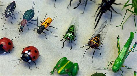 تفسير حلم الحشرات الغريبة للعزباء