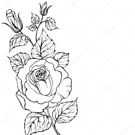 Coloring page (1) flamenco dancer coloring pages (1) flower (2) flowers mandala coloring pages (1) food (21) forrest (1) fossil coloring pages (1) independence of panama coloring pages (1) images justin bieber coloring pages (1) images mayan warrior woman coloring pages (1) images. Black silhouette of rose. — Stock Vector © Kotkoa #23281584