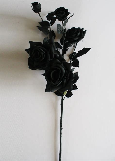 Black Rose Photo Awesome Black Natural Rose Wallpaper Flowers 10367