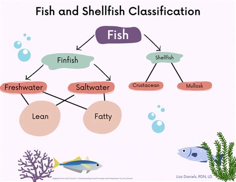 Classification Of Fish Bony Fish Vs Cartilaginous Fish Nature Blog