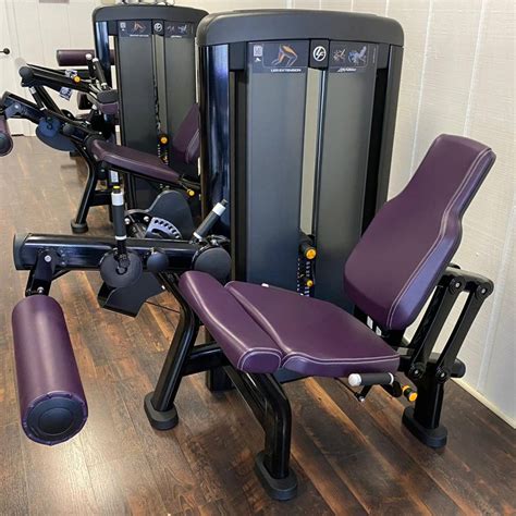 Life Fitness Insignia Series Leg Extension Fitness Superstore