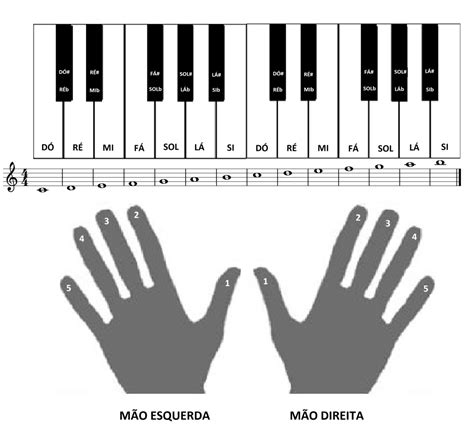 Notas Musicais No Teclado Curso Completo De Pedagogia