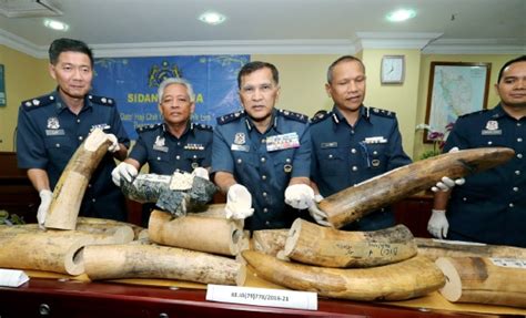 Klia Customs Stop Ivory Drug Smugglers Video New Straits Times