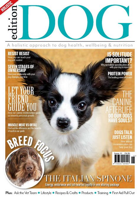 Issue 11 Edition Dog Magazine