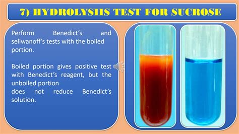 Carbohydrates Hydrolysis Test Youtube