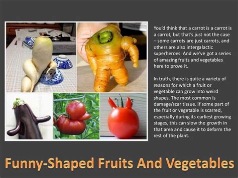 Funny Shaped Fruits And Vegetables