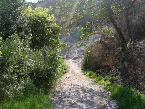 Prima di acquistare le prime piante della macchia mediterranea per il giardino, può essere utile riflettere sulle caratteristiche botaniche di ognuna in modo da scegliere quella che meglio si addice alle proprie richieste ed esigenze. File:Macchia mediterranea 1.jpg - Wikimedia Commons
