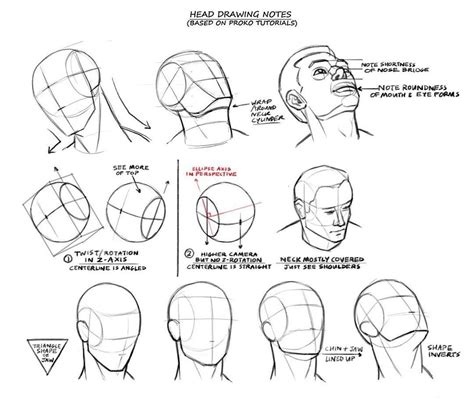 Pin By Nagwa Samir On Refs And Ideas Head Drawing Head Anatomy Draw Head