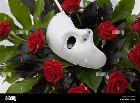 Annehmen Eng Glockenblume Phantom Of The Opera Mask And Rose