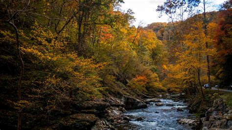 Fall Colors Photographers Explore East Tennessees Autumn
