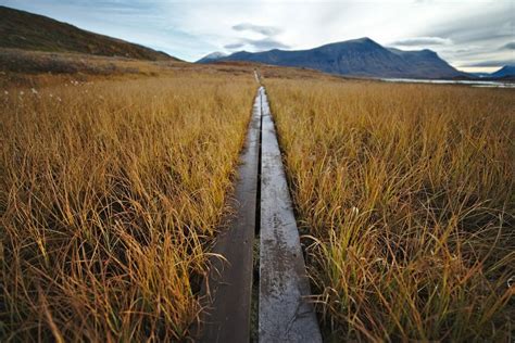 Exploring northern sweden between hemavan and abisko into the arctic circle. Kungsleden trail (kings trail): all you need to know to ...