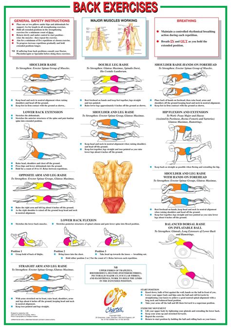 Back And Core Muscles Floor Exercise Chart