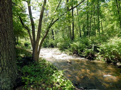 Situated in luray, this cabin is within 12 mi (20 km) of valley health page memorial hospital, luray caverns, and warehouse art gallery. Cabin Rentals Luray,VA | Brookside Cabins near Shenandoah ...