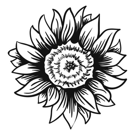 32 Transparent Sunflower Svg Free Background Free Svg Files