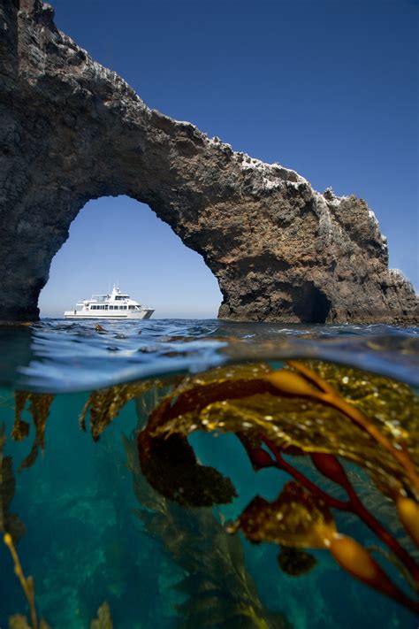Channel Islands National Park | Ventura Harbor
