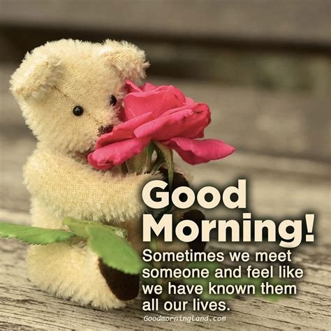 Top Animated Good Morning Love Quotes Good Morning Love Morning Love Quotes Good Morning Hug