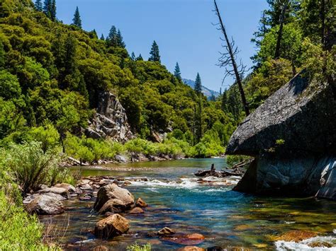 Top 10 Sequoia Kings Canyon National Park