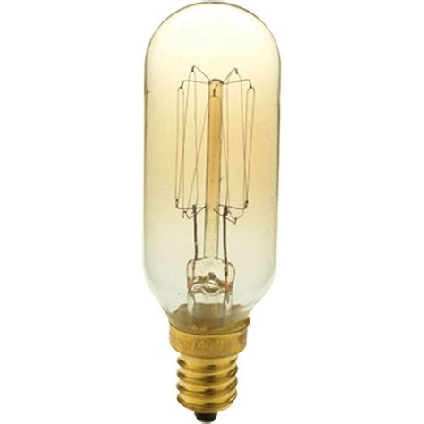 Progress Lighting 40-Watt T8 E12 Candelabra Base Vintage Amber Light Bulb-P7826-01 - The Home Depot