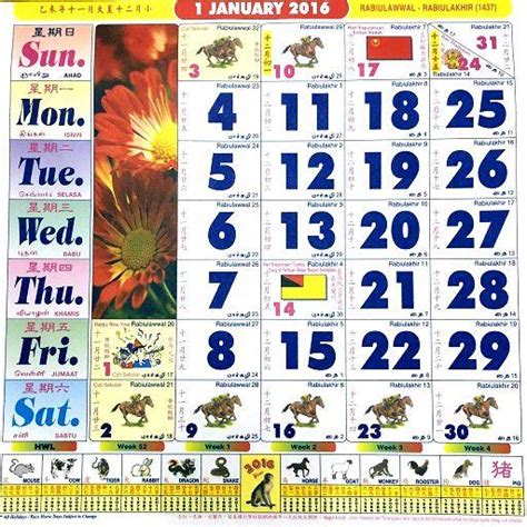 Calendar 2020 Kuda Mei
