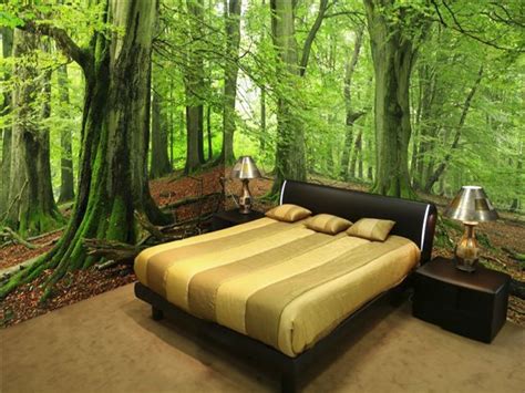Ideas For Wall Art In Bedroom Forest Wall Mural Wall Murals