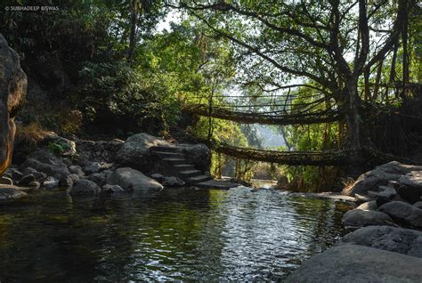 Trekking In Photos Trek To The Double Decker Living Root Bridge