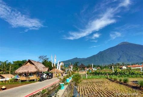 Sawah Lope Desa Cikaso Masuk 300 Besar Anugrah Desa Wisata — Mimbar Rakyat