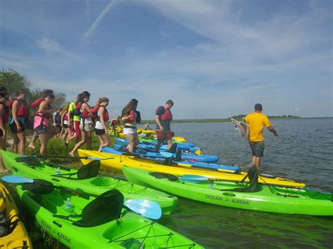 A Comparison Of Kayak Tours On Assateague Island