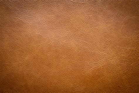 50 Free Background Leather Texture Images For Your Designs