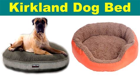 Enjoy free shipping on most stuff, even big stuff. Best Kirkland Dog Bed | Top Dog Bed Kirklands || - YouTube