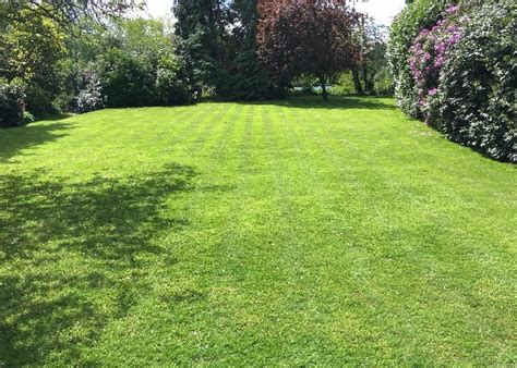 Completed Work Grassroots Lawn Treatments Ltd