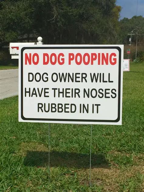 When Your Neighbors Dog Keeps Leaving Poop In Your Yard Expert Opinion