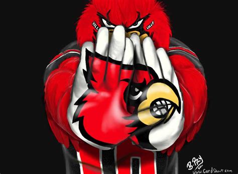 49 Louisville Cardinals Wallpapers Free Wallpapersafari