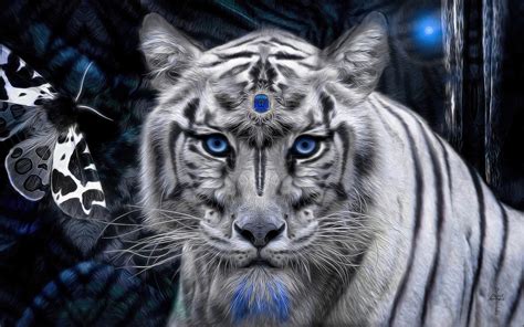 White Tiger Blue Eyes Hd