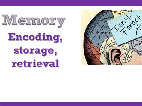 Aqa Gcse Psychology How Memories Are Encoded And Stored Lesson 1 Of