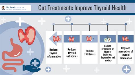 Your Research Backed Guide To Hypothyroidism Medication