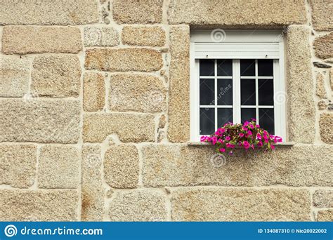 Window With Flower Pot In Brick Wall Sandstone Building Exterior