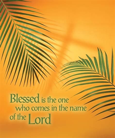 Blessed Is The One Who Comes In The Name Of The Lord Palm Sunday