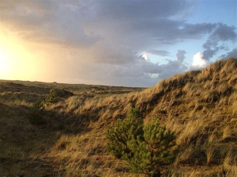 duinen bij midsland aan zee terschelling luoghi