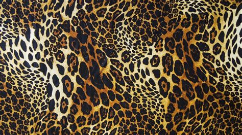 Leopard Print Computer Wallpapers On Wallpaperdog