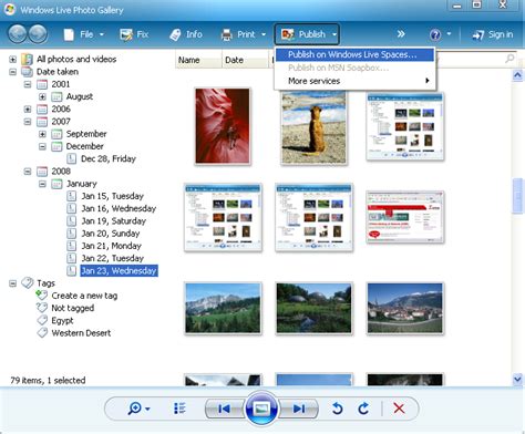 How To Publish Your Photo Using Windows Live Photo Gallery Photo Howto