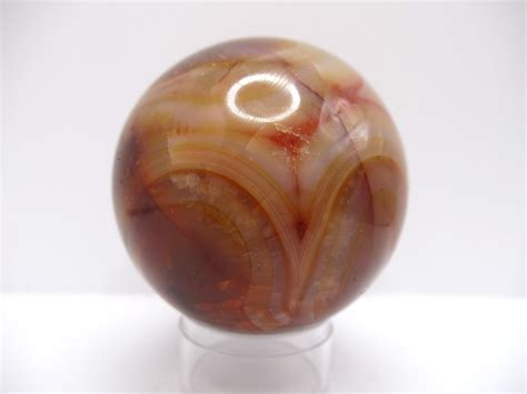 Polished Carnelian Mineral Sphere 5 Fossils For Sale